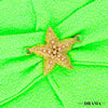 Neon Green Textured Hair Band with Starfish Metal Broach